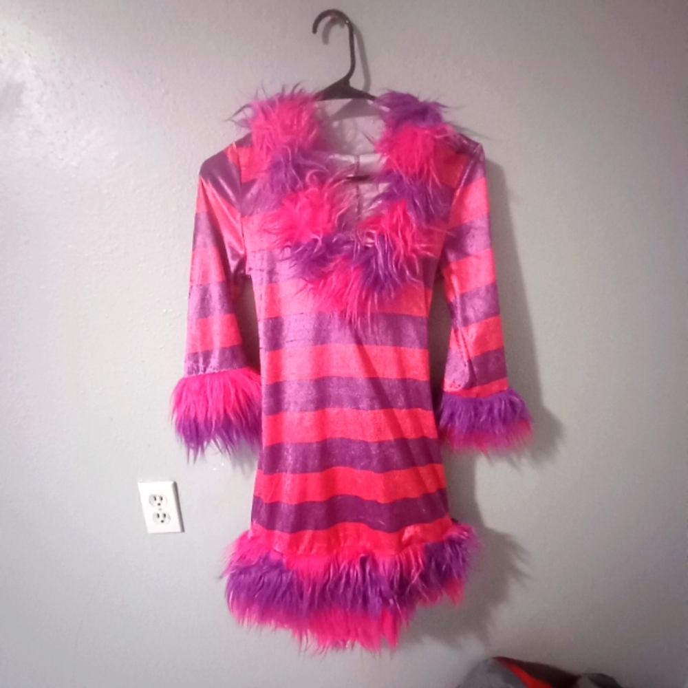 Cheshire Cat costume sz small dreamgirls
